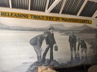 266. Forellenzucht, Hobart, Tasmanien, Australien