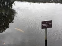 271. Forellenzucht, Hobart, Tasmanien, Australien