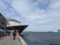 282. Holland America Westerdam