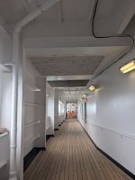 292. Holland America Westerdam