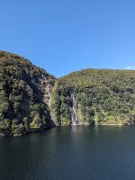 309. Dusky Sound, Fjordland Nationalpark, Neuseeland