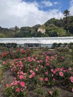 366. Botanischer Garten Wellington, Neuseeland