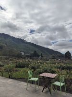 367. Botanischer Garten Wellington, Neuseeland