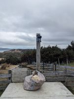 387.Schaffarm,  Storm Coast Wellington, Neuseeland