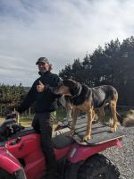 390. Schaffarm,  Storm Coast Wellington, Neuseeland