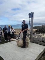 392. Schaffarm,  Storm Coast Wellington, Neuseeland