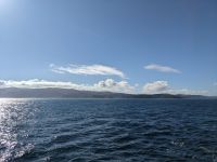 396. Holland America Westerdam