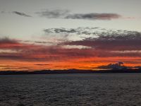 436. Sonnenuntergang Holland America Westerdam