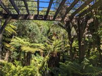 457. Domain Auckland, Neuseeland