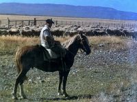 ein Gaucho auch schon bei der Arbeit