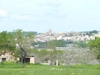 Blick auf Llucmajor