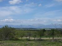 Radtour Porreres-Llucmajor