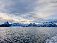 Tag 4 - Kurz vorm Polarkreis 