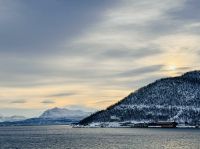 Tag 5 - Vesterålen 