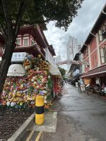 26.02.2025: Stadtrundfahrt in Singapur