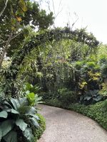 26.02.2025: Stadtrundfahrt in Singapur National Orchid Garden