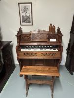 28.02.2025: Kauri Museum