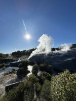 05.03.2025: Besuch in Te Puia: sprudelende Geysire