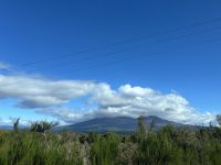 05.03.2025: Tongariro Nationalpark