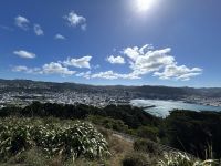 06.03.2025: Ankunft in Wellington: Aussicht vom Mount Victoria