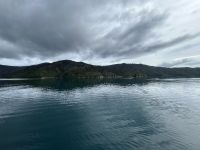 08.03.2025: Fahrt mit der Interisland nach Picton