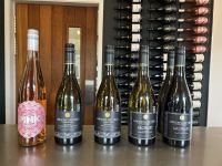 08.03.2025: Weinprobe in Blenheim