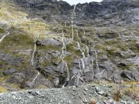 11.03.2025: Fjordland Nationalpark