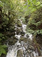 11.03.2025: Fjordland Nationalpark