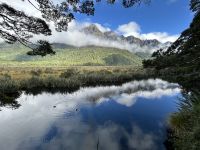 12.03.2025: Mirror Lake im Fjordland Nationalpark