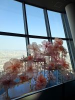 Im Skytree