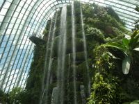 tropischer Wasserfall im 