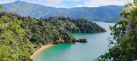 Queen Charlotte Sound 