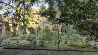 Kräutergarten der Marienkirche in Kamien Pomorski 