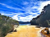 Landschaft des Abel Tasman Nationalpark