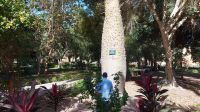 Botanischer Garten Assuan