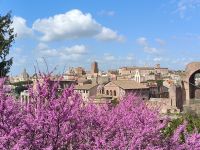Rom. Forum Romanum, Blick vom Palatin