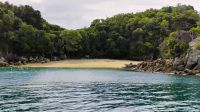 Einsame Buchten im Abel Tasman National Park 