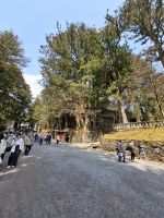 Anlage des Toshogu-Schreins in Nikko
