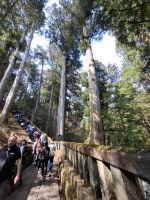 Anlage des Toshogu-Schreins in Nikko