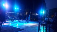 Tanzshow Pool Bar Jaz Makadi Star & Spa