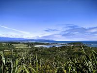 Landschaft am Cape Foulwind Trail
