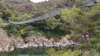 Neuseelands längste Hängebrücke, Buller Gorge Swing Bridge