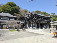 Hasedera-Tempel in Kamakura