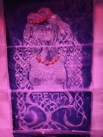 Tag 9 - Magic ICE Bar, Svolvær