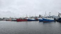 Im Hafen von Kolberg 
