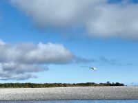 Hier werden die Fliegenfischer mit dem Hubschrauber gebracht und abends wieder abgeholt