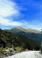 Wir schlängeln uns unzählige Kurven zum Haast Paß hinauf