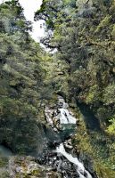 Wasserfall vor dem Hafen des Milford Sound