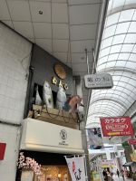 Kochi