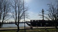 an der Swine